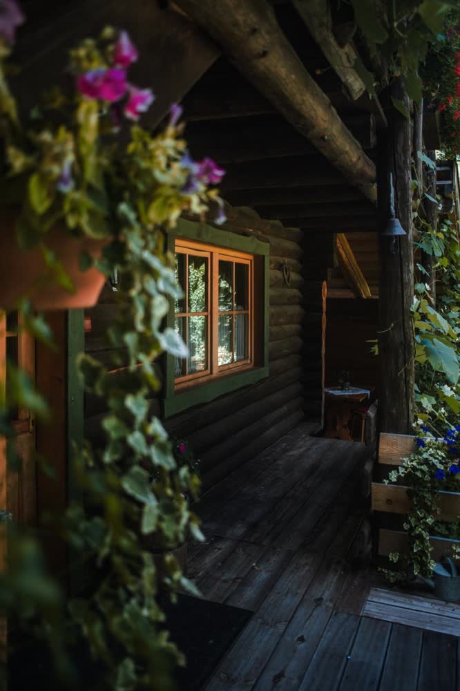 Terasa cabanei — veranda acoperită de verdeață.