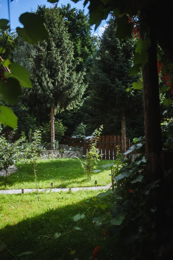 Cabana Bendis — grădina cu pomi și iarbă tunsă.