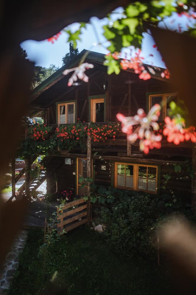 Cabana Bendis — cabana, printre flori.