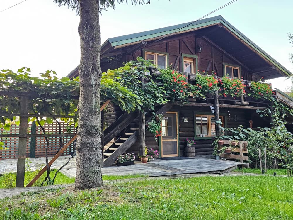 Cabana Bendis — molidul din fața cabanei.