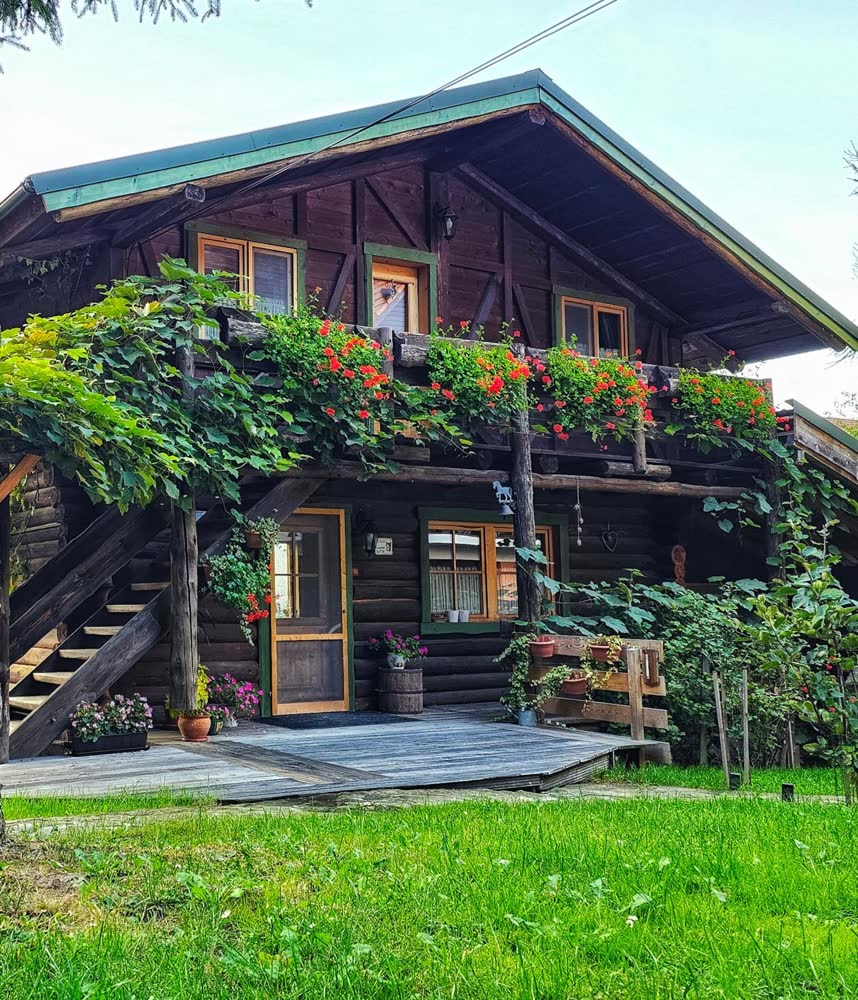 Cabana Bendis — scara, butoiul și vița de vie.